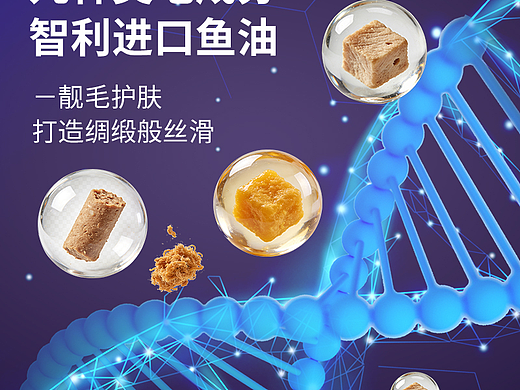 猫粮 详情页 主图 颜色图