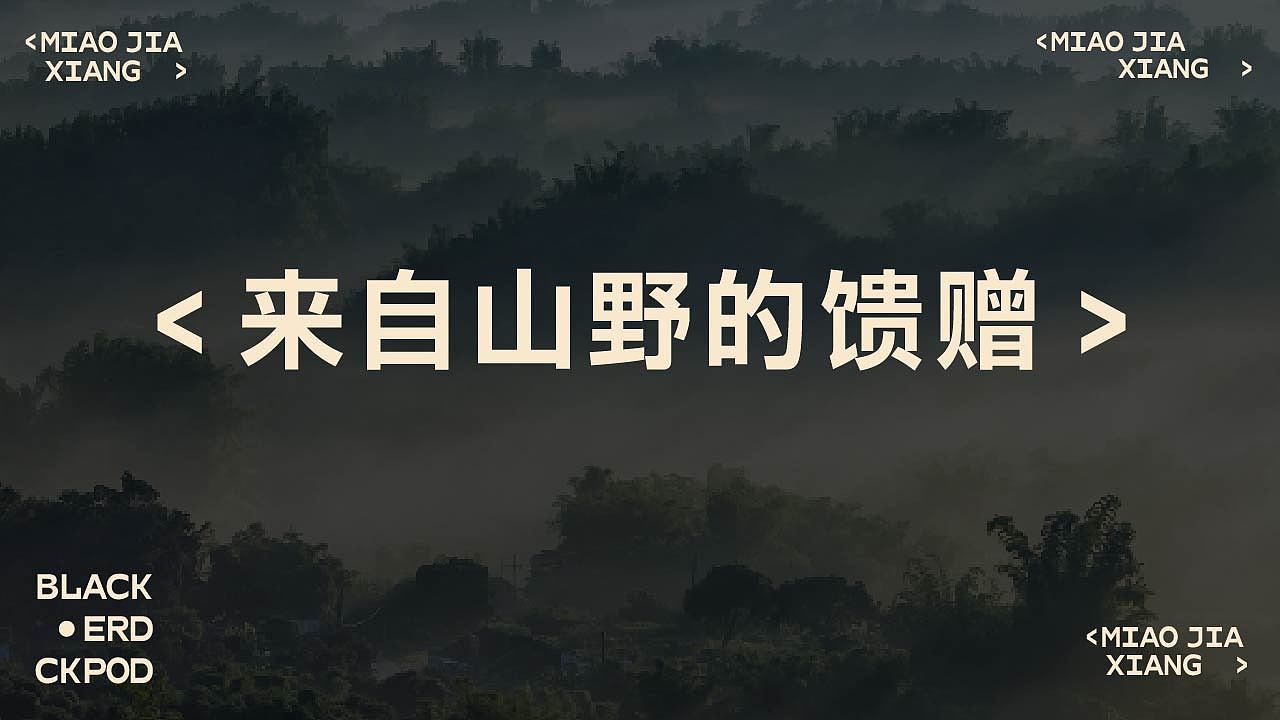 餐饮品牌（图ZNDAwOTgxMTY4） - 品牌 - 站酷设计师Zero嘟嘟原创素材 - 站酷ZCOOL