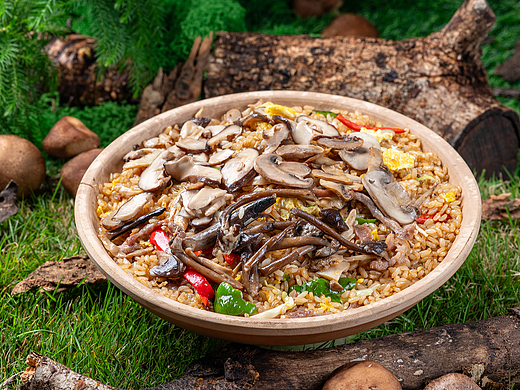 云南野生菌炒饭炒面炒河粉