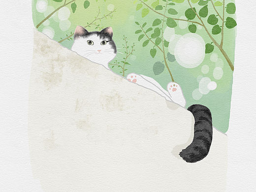 奶牛猫