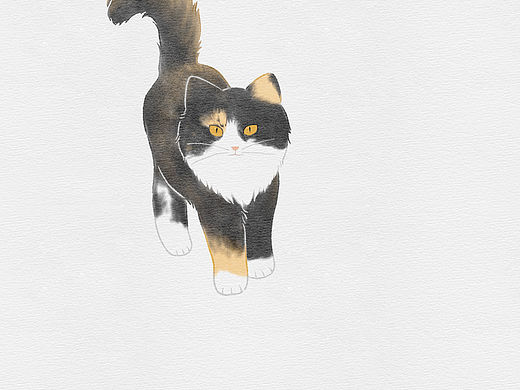 大脸猫