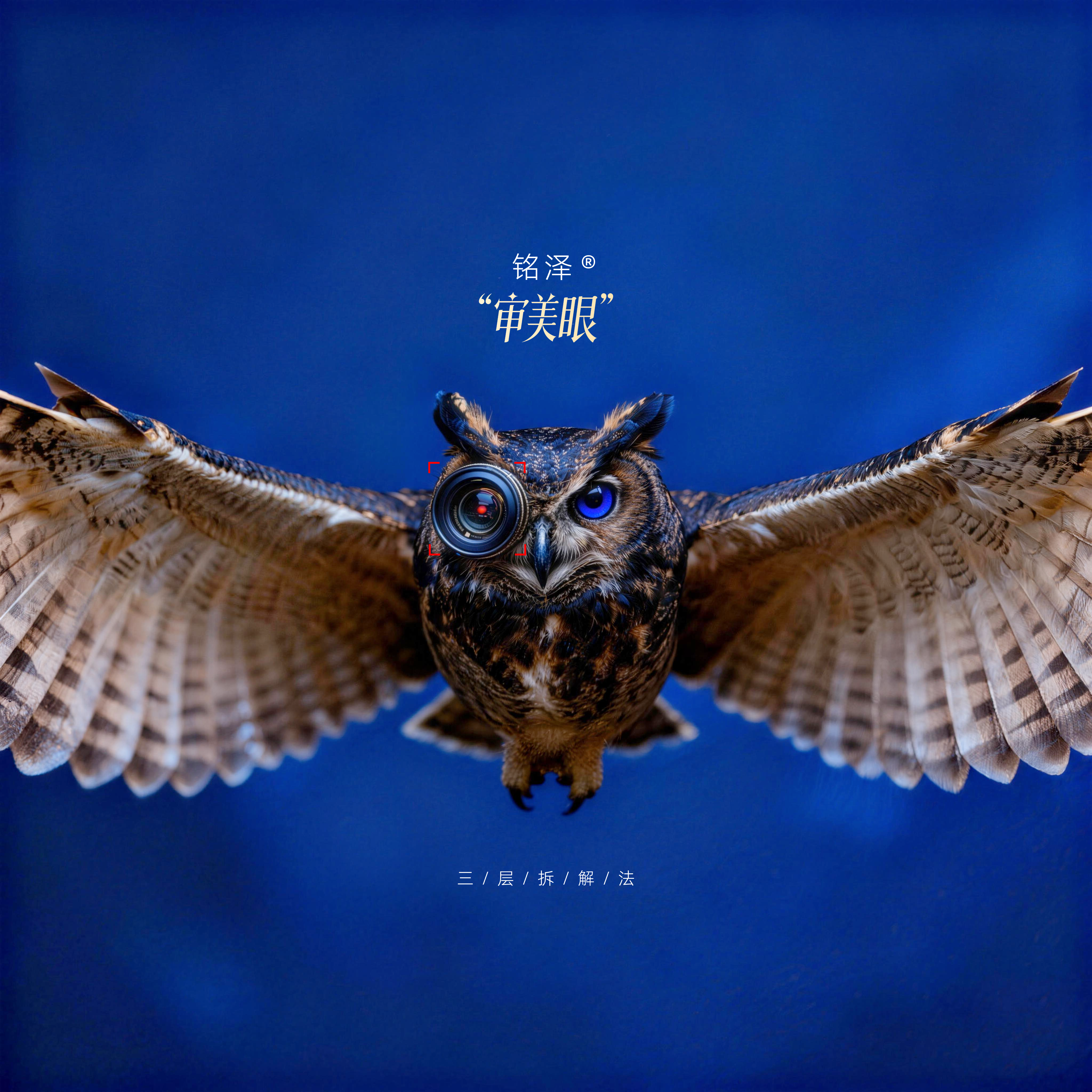 看一眼惊艳，两眼看穿，三眼看透：我的“审美眼”三层拆解法（图ZMTUzNjExNDQ=） - 教程 - 站酷设计师设计师铭泽原创素材 - 站酷ZCOOL
