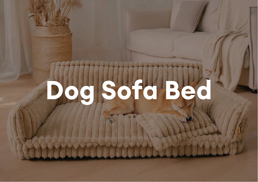 FF品牌手册（完整版-上）（图ZNDAwOTk1ODI4） - 书籍/画册 - 站酷设计师今天是崽总原创素材 - 站酷ZCOOL