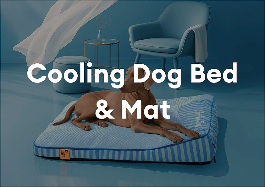 FF品牌手册（完整版-上）（图ZNDAwOTk2MDQ4） - 书籍/画册 - 站酷设计师今天是崽总原创素材 - 站酷ZCOOL