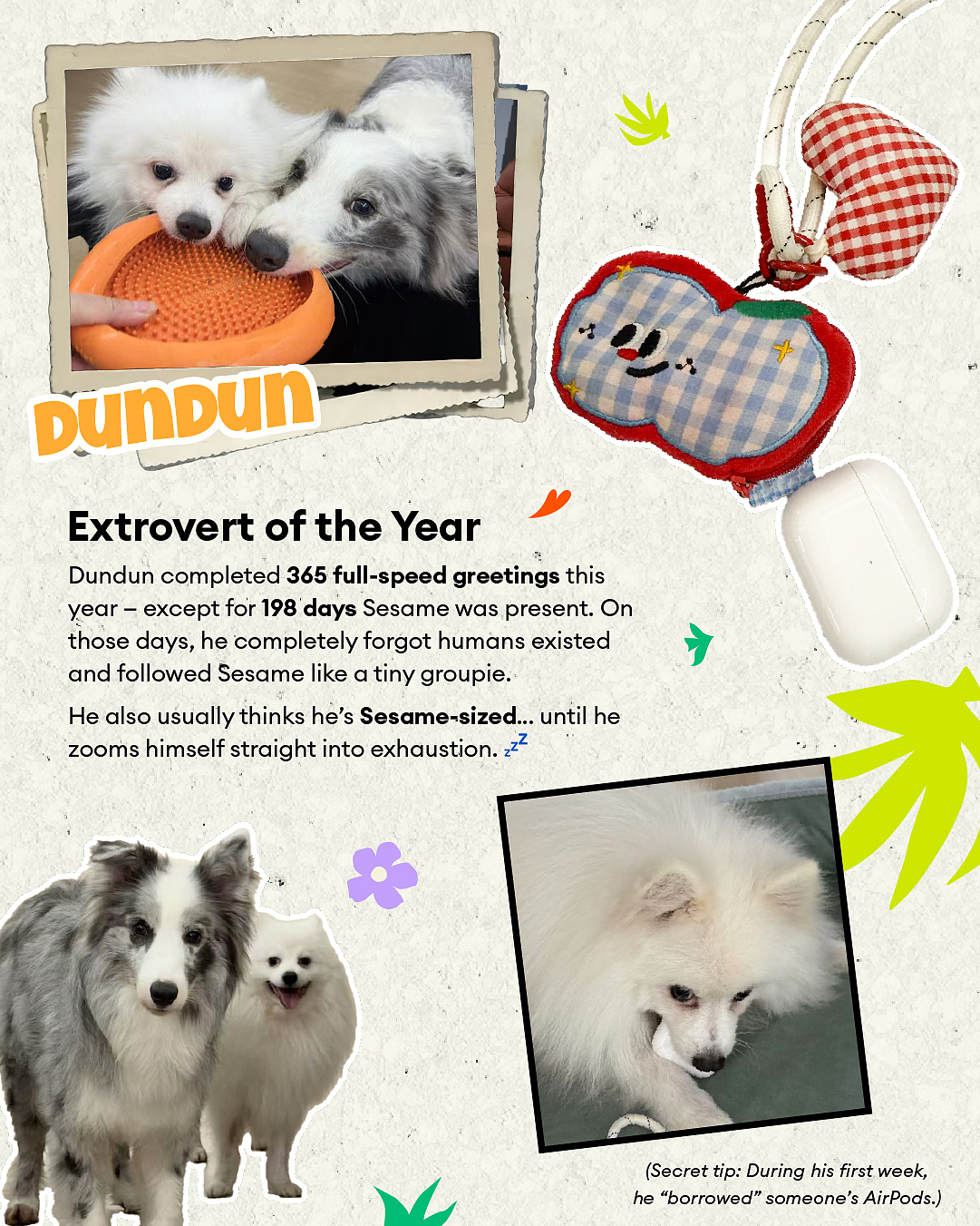 2025 Pets Recap（图ZNDAwOTk4NzI0） - 其他平面 - 站酷设计师今天是崽总原创素材 - 站酷ZCOOL