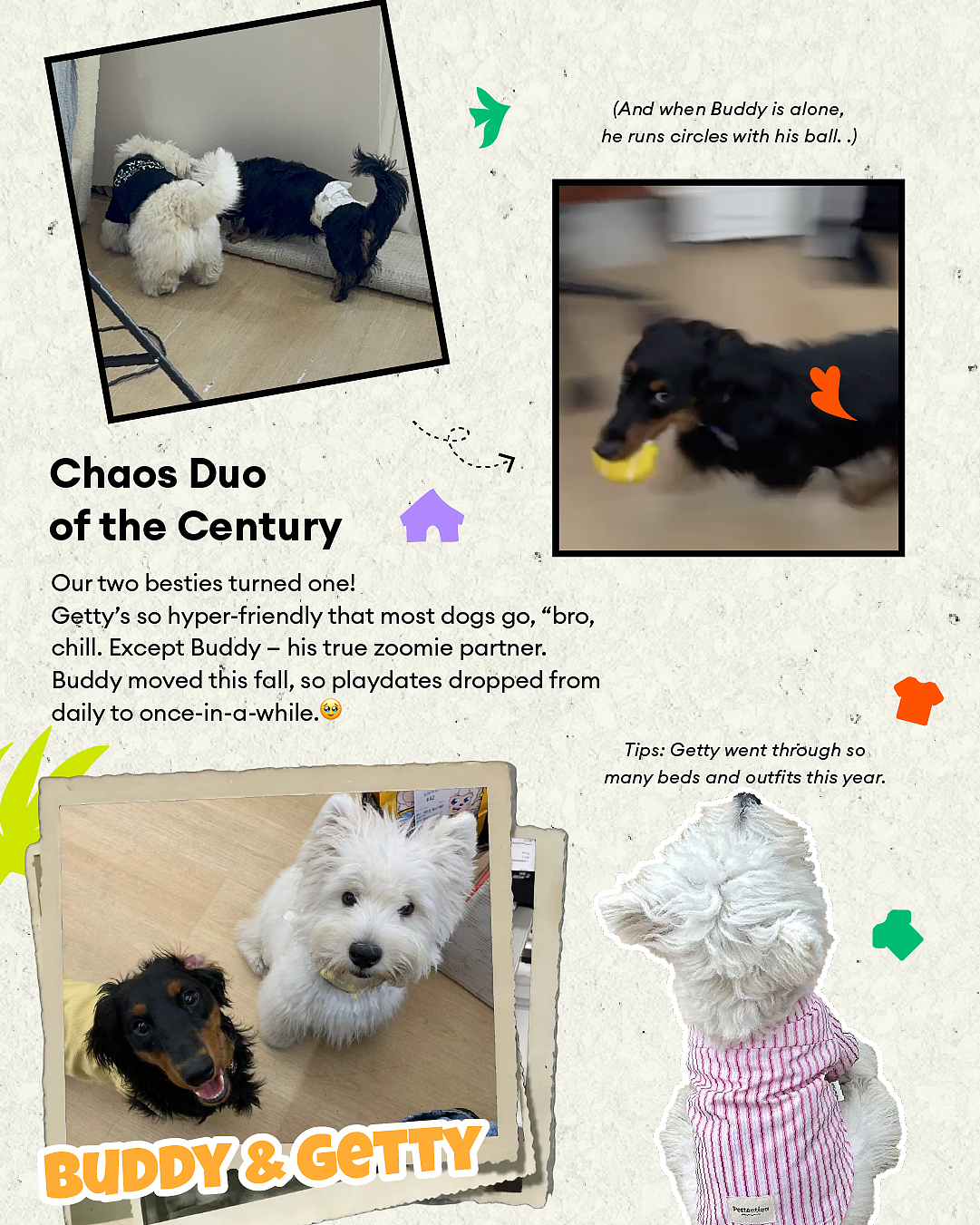 2025 Pets Recap（图ZNDAwOTk4NzQw） - 其他平面 - 站酷设计师今天是崽总原创素材 - 站酷ZCOOL