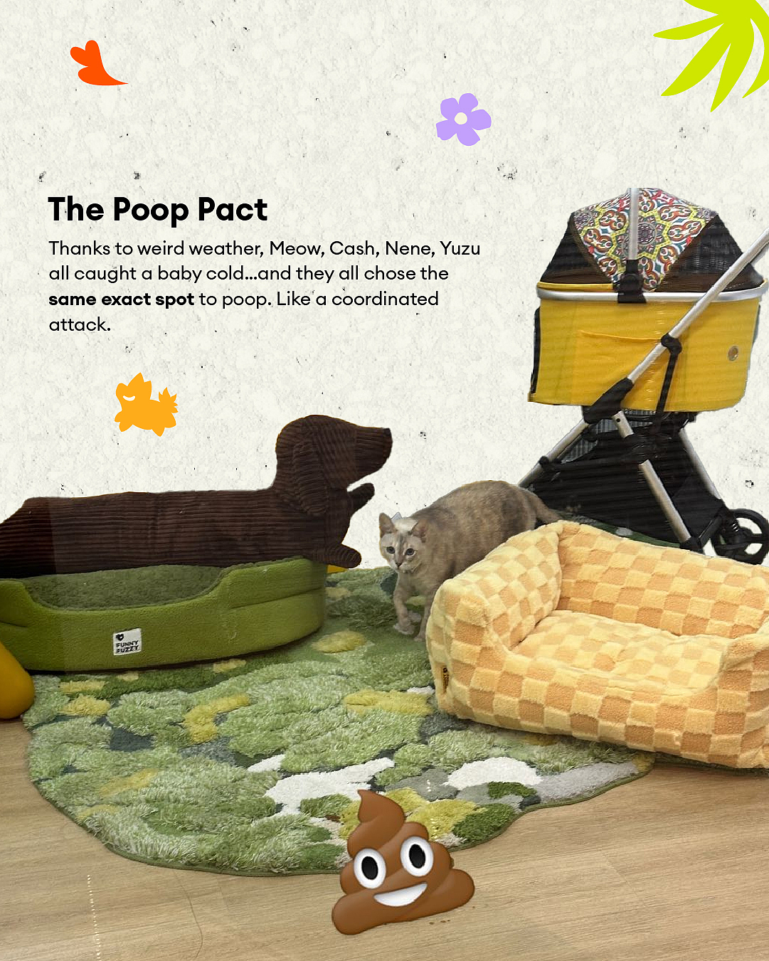 2025 Pets Recap（图ZNDAwOTk4NzQ4） - 其他平面 - 站酷设计师今天是崽总原创素材 - 站酷ZCOOL