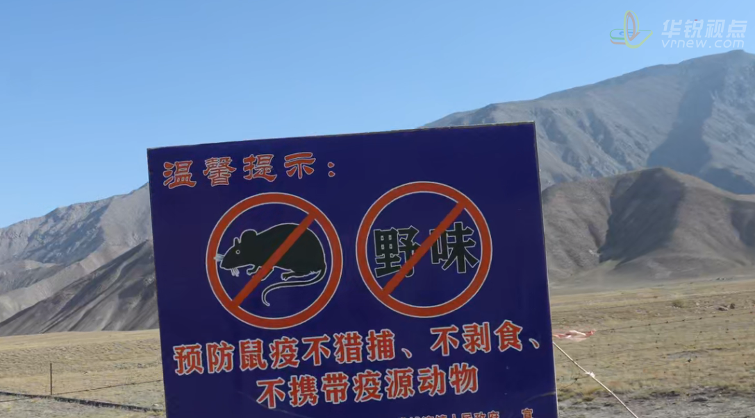 鼠疫：历史上最致命的病原，一度差点摧毁整个文明！（图ZMTUzNjEzODA=） - 资讯 - 站酷设计师深圳华锐视点原创素材 - 站酷ZCOOL