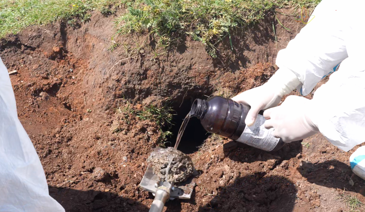 鼠疫：历史上最致命的病原，一度差点摧毁整个文明！（图ZMTUzNjEzOTY=） - 资讯 - 站酷设计师深圳华锐视点原创素材 - 站酷ZCOOL