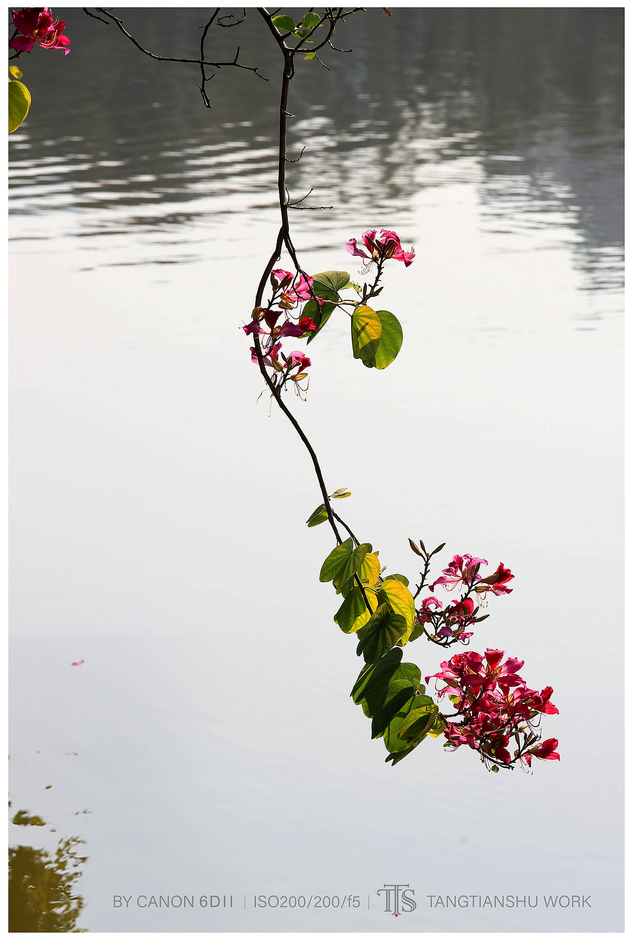 公园小景（图ZNDAxMDAxNTU2） - 风光摄影 - 站酷设计师tianlungz原创素材 - 站酷ZCOOL