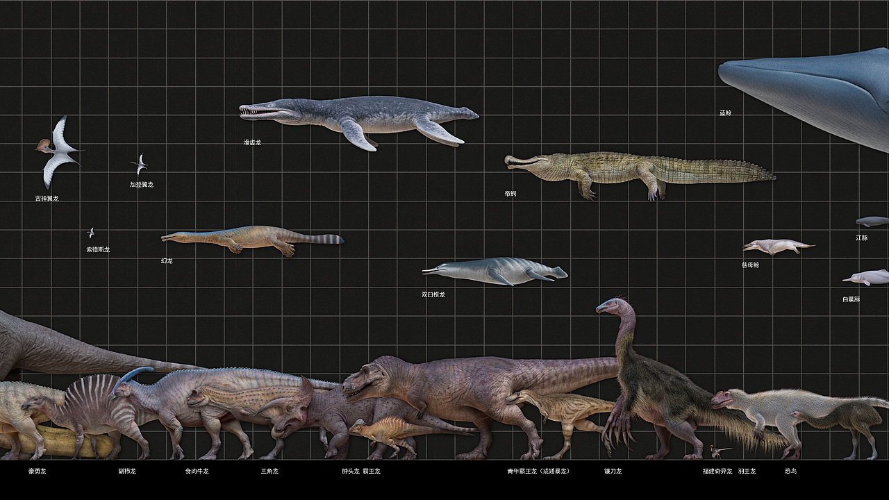 2019-2025 写实生物角色整理（图ZNDAxMDE0NTg4） - 人物/生物 - 站酷设计师守林动画原创素材 - 站酷ZCOOL