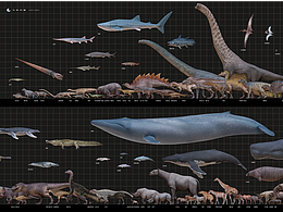 2019-2025 写实生物角色整理