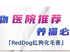 课程学习作品——商业案例