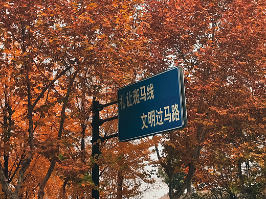 答案在路上