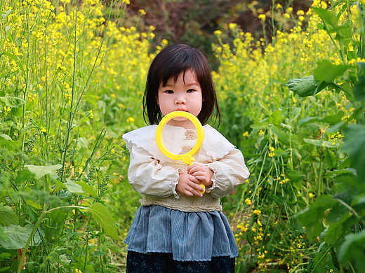 深圳油菜花海里拍到的萌萌哒的小宝宝🌼