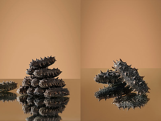 电商摄影|海参摄影