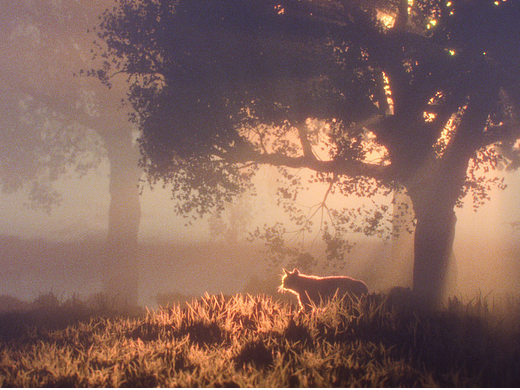 20260101（個人主頁-ZNzI5OTk1NjQ=） - 動畫/影視 - 站酷設(shè)計師RT_Miao原創(chuàng)素材 - 站酷ZCOOL