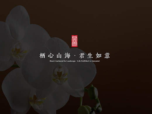 新中式康养品牌