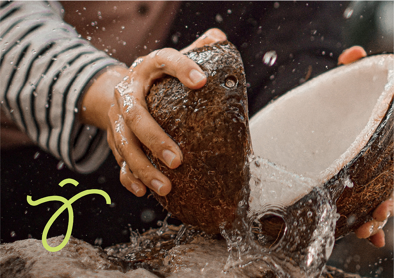 梦回23年飞机稿 一版会跳舞的椰子鸡（图ZNDAxMDQzODky） - 品牌 - 站酷设计师CKGOR原创素材 - 站酷ZCOOL