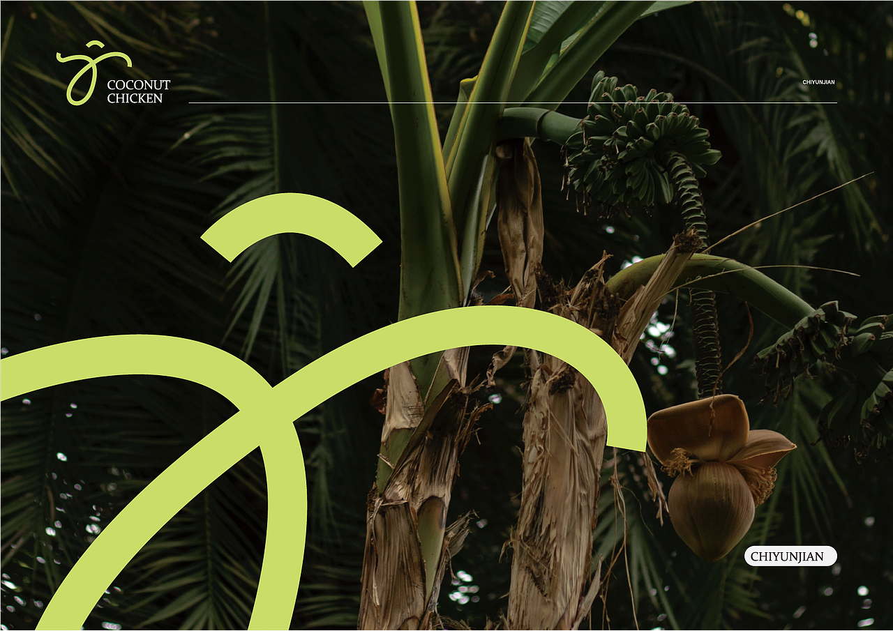 梦回23年飞机稿 一版会跳舞的椰子鸡（图ZNDAxMDQzOTM2） - 品牌 - 站酷设计师CKGOR原创素材 - 站酷ZCOOL