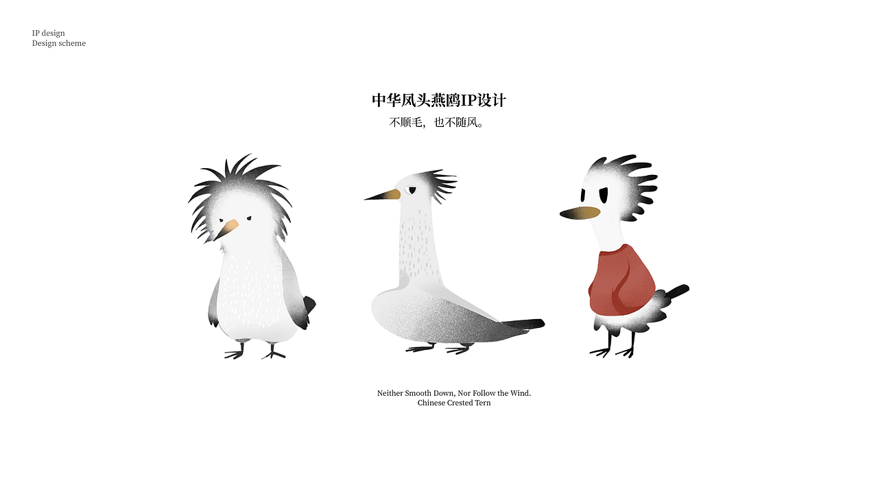 【不顺毛也不随风】中华凤头燕鸥IP形象设计（图ZNDAxMDUzMzQ4） - IP形象 - 站酷设计师千秋岁5211原创素材 - 站酷ZCOOL