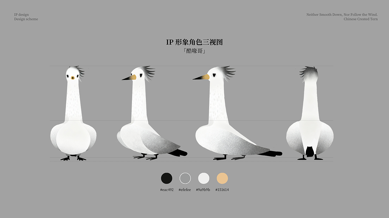 【不顺毛也不随风】中华凤头燕鸥IP形象设计（图ZNDAxMDUzMzY4） - IP形象 - 站酷设计师千秋岁5211原创素材 - 站酷ZCOOL
