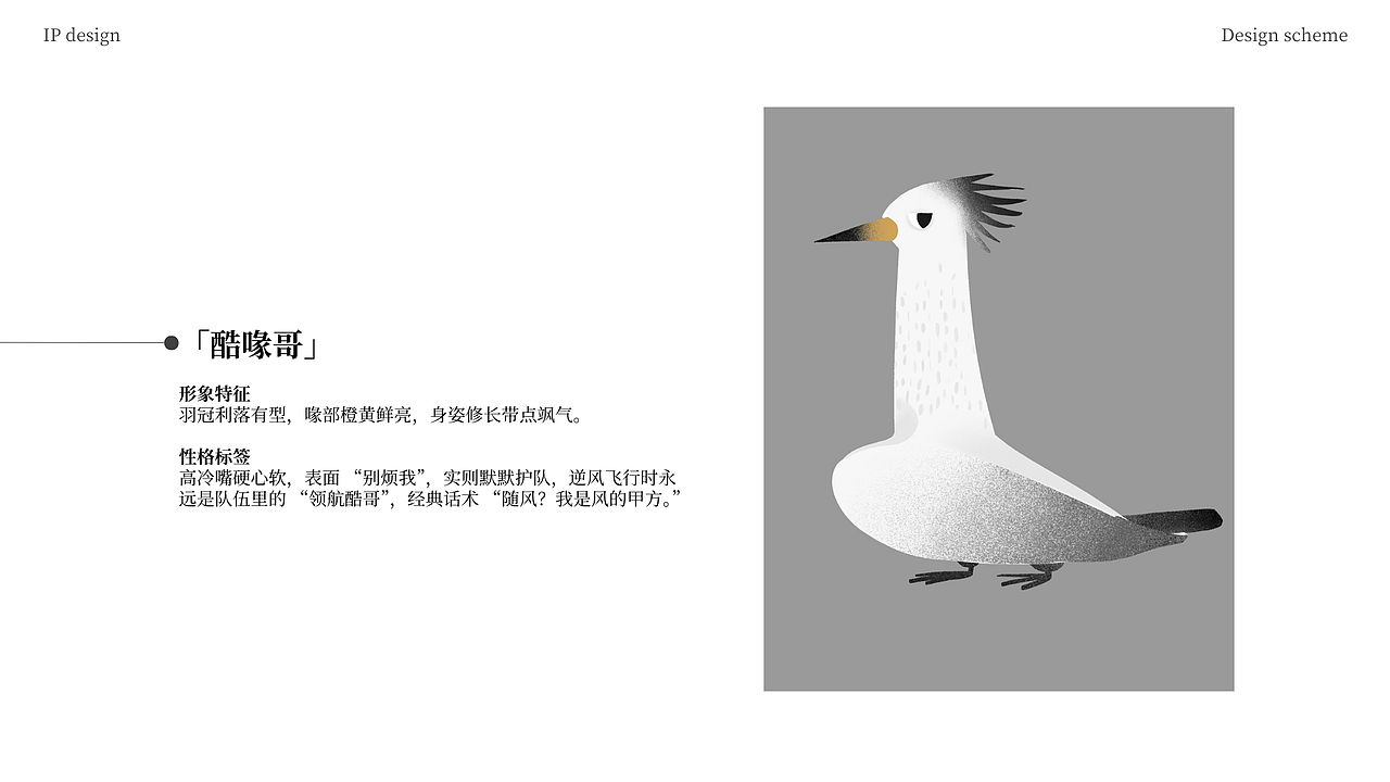 【不顺毛也不随风】中华凤头燕鸥IP形象设计（图ZNDAxMDUzMzU2） - IP形象 - 站酷设计师千秋岁5211原创素材 - 站酷ZCOOL