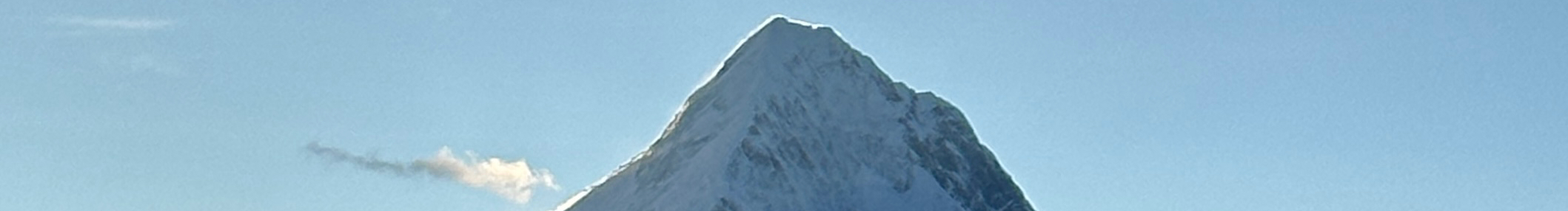 我叫Ting的个人主页（封面预览） - 主页封面设置 - 站酷设计师我叫Ting原创素材 - 站酷ZCOOL