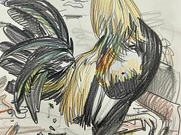 彩鉛勾勒大公雞