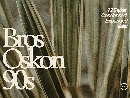 72款复古优雅经典海报画册封面标题衬线英文字体家族