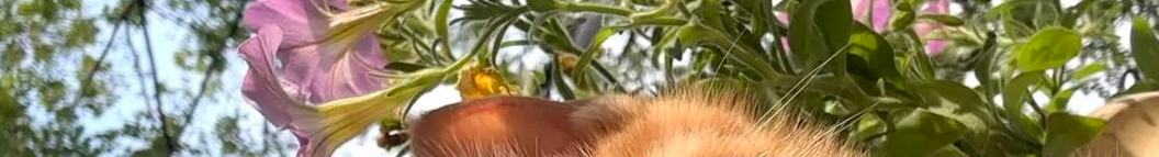 小溪o的个人主页（封面预览） - 主页封面设置 - 站酷设计师小溪o原创素材 - 站酷ZCOOL