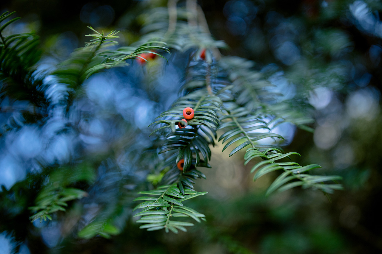 山里已经结冰了（图ZNDAxMTI3MzA4） - 环境/建筑摄影 - 站酷设计师洪小漩原创素材 - 站酷ZCOOL