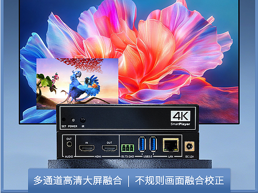 融大视觉：分布式融合处理器如何重塑视觉边界