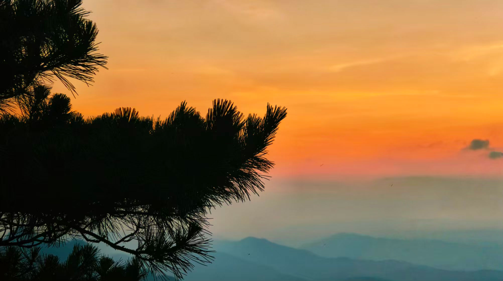 小漓灬的個人主頁（背景預覽） - 主頁背景設置 - 站酷設計師小漓灬原創(chuàng)素材 - 站酷ZCOOL