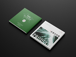 飛上蝗-品牌画册