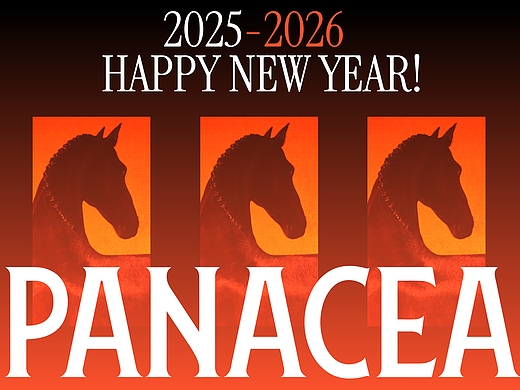 2025 北京灵丹创意年终设计作品总结