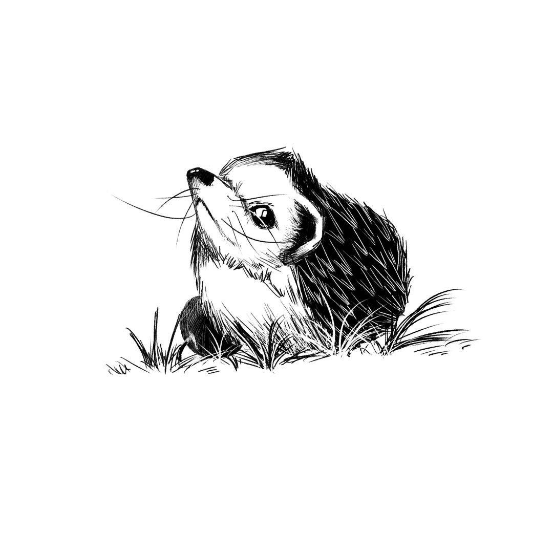 歪牙喂的个人主页（背景预览） - 主页背景设置 - 站酷设计师歪牙喂原创素材 - 站酷ZCOOL