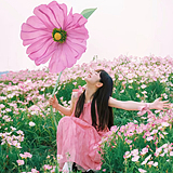 芊宁的头像