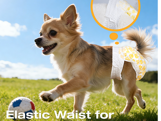 2026-01-06（個人主頁-ZNzMwMTc5NzY=） - 電商 - 站酷設計師是蠟筆呀原創(chuàng)素材 - 站酷ZCOOL