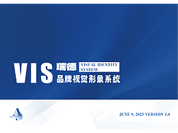 瑞德VIS系統(tǒng)設(shè)計(jì)