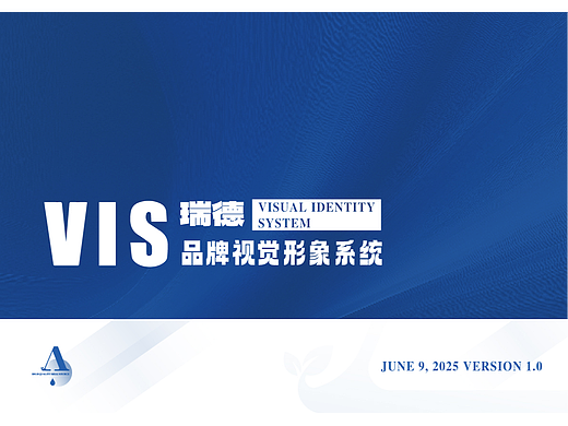 瑞德VIS系统设计