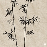 阿竹玩设计的头像