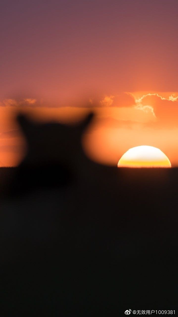 HU1HU1的個人主頁（背景預(yù)覽） - 主頁背景設(shè)置 - 站酷設(shè)計(jì)師HU1HU1原創(chuàng)素材 - 站酷ZCOOL