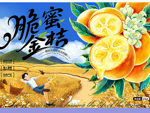 脆蜜金桔插畫包裝！饞哭了三百年！?。▊€人主頁-ZNzI5ODM4MDQ=） - 商業(yè)插畫 - 站酷設(shè)計師善謙SQ原創(chuàng)素材 - 站酷ZCOOL
