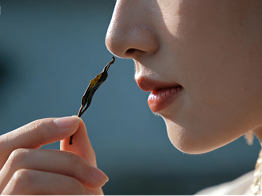 从茶山到掌心：东方树叶的 AI 工艺美学与节气茶韵