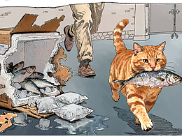 肖刚漫画插画连环画 动物插画猫 军事插画 写实插画