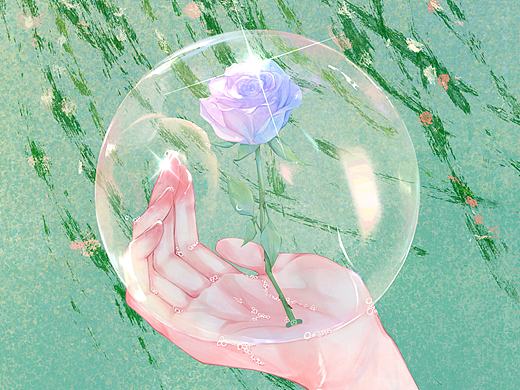 《春日限定玫瑰》