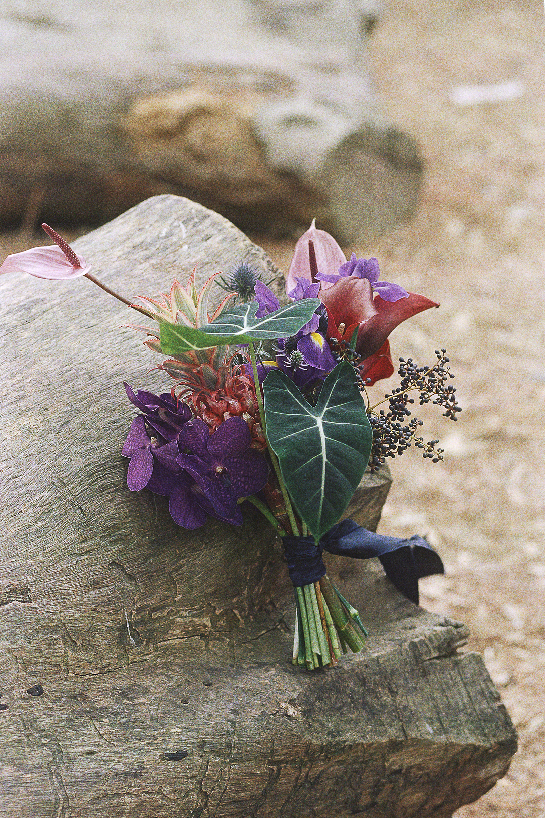 几度星霜的2025（图ZNDAxMzgyNjA0） - 人像摄影 - 站酷设计师几度星霜_Jeral原创素材 - 站酷ZCOOL