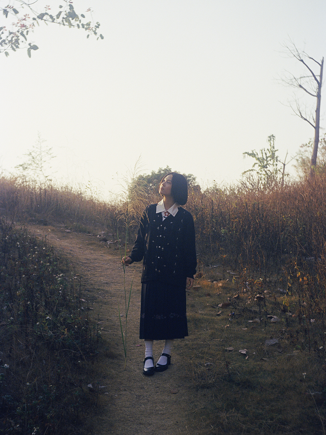 几度星霜的2025（图ZNDAxMzgyNTIw） - 人像摄影 - 站酷设计师几度星霜_Jeral原创素材 - 站酷ZCOOL