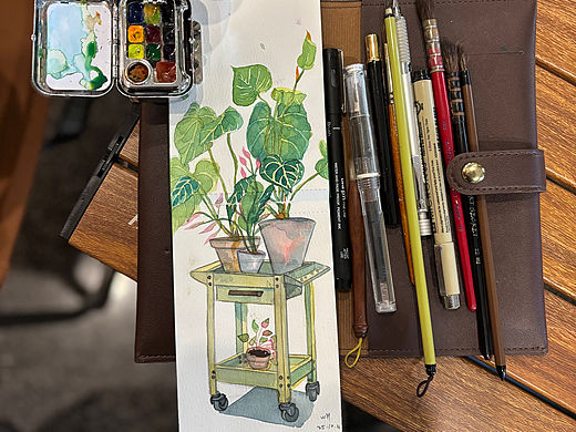 咖啡店写生植物